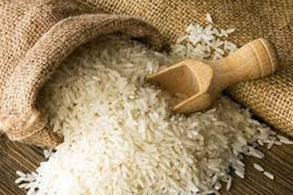 جنگ آمریکا و اسرائیل با ایران مانع صادرات برنج باسماتی از هند شد