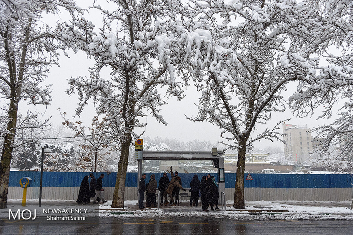 روز برفی تهران
