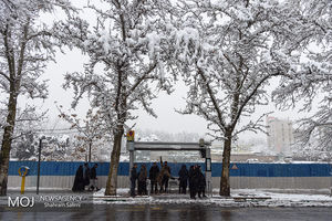 بارش برف پاییزی در تهران / پیش بینی کاهش ۵ درجه ای هوا