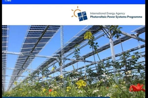 آژانس بین المللی انرژی (IEA) از کاربری دوگانه زمین های کشاورزی با تولید برق خورشیدی خبر داد