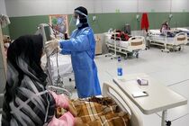 بستری ۵۹ بیمار جدید کرونایی در شبانه روز گذشته