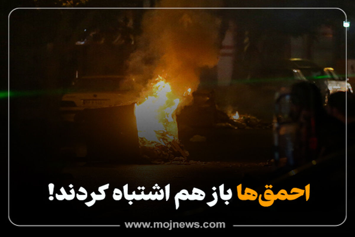 کاور احمق ها موج copy