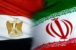 علی باقری با مقامات امنیتی مصر و برزیل دیدار کرد