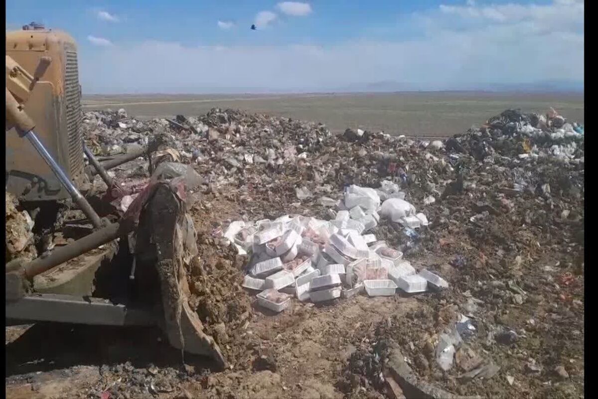 مزغ فاسد