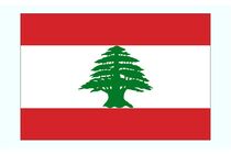 دولت لبنان علیه رژیم صهیونیستی به شورای امنیت شکایت کرد