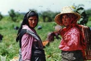 «روسری آبی» رخشان بنی‌اعتماد در کوبلنز به نمایش درمی‌آید