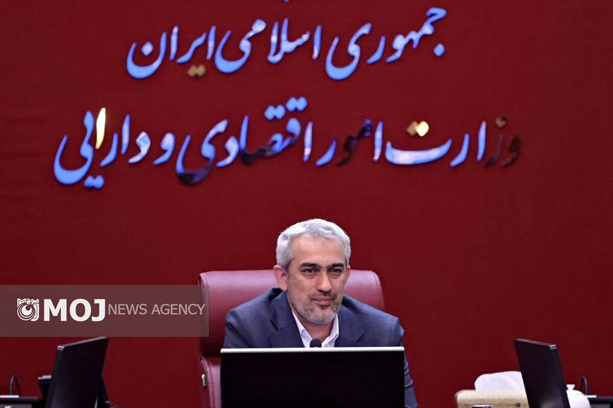 دکتر سید علی مدنی‌زاده + وزیر امور اقتصادی و دارایی