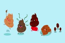 تشخیص سلامت جسم از روی شکل مدفوع | رازهای سلامتی که در مدفوع شما پنهان است