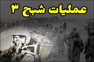 «شبح ۳» نیروی هوایی ارتش رونمایی شد