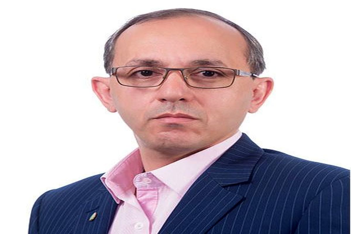 سید محسن حسینی پویا، عضو کمیسیون اقتصادی شورای اسلام