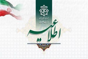 شبکه دلالان قاچاق ارز در همدان منهدم شد