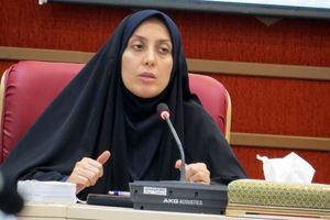 دولت فقط به فکر کاهش قیمت دلار است و به دیگر کالاها اهمیتی نمی دهد