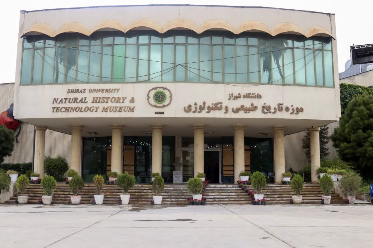 دانشگاه شیراز 