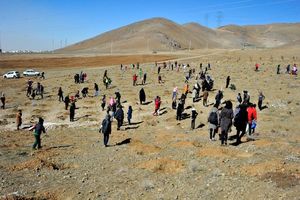 ۳۵ هنرمند نقاش به بیابان‌های سمنان می‌روند