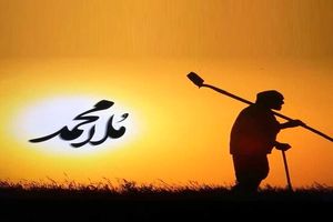 مستندهای تازه در قاب سیما/ از «ملامحمد» تا «شباهت‌های حیوانات»