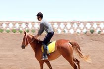 جشنواره سوارکاری به میزبانی مشگین شهر برگزار می شود