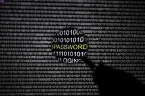 سامانه «ویروس کاو» راه اندازی شد/ فایلهای مشکوک را اسکن کنید