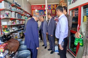 تقویت زیرساخت‌های حفاظتی و نظارت دقیق بر توزیع کالاهای اساسی در سنندج