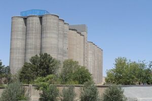 ۹۰ درصد مطالبات گندمکاران قمی پرداخت شد