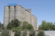 ۹۰ درصد مطالبات گندمکاران قمی پرداخت شد