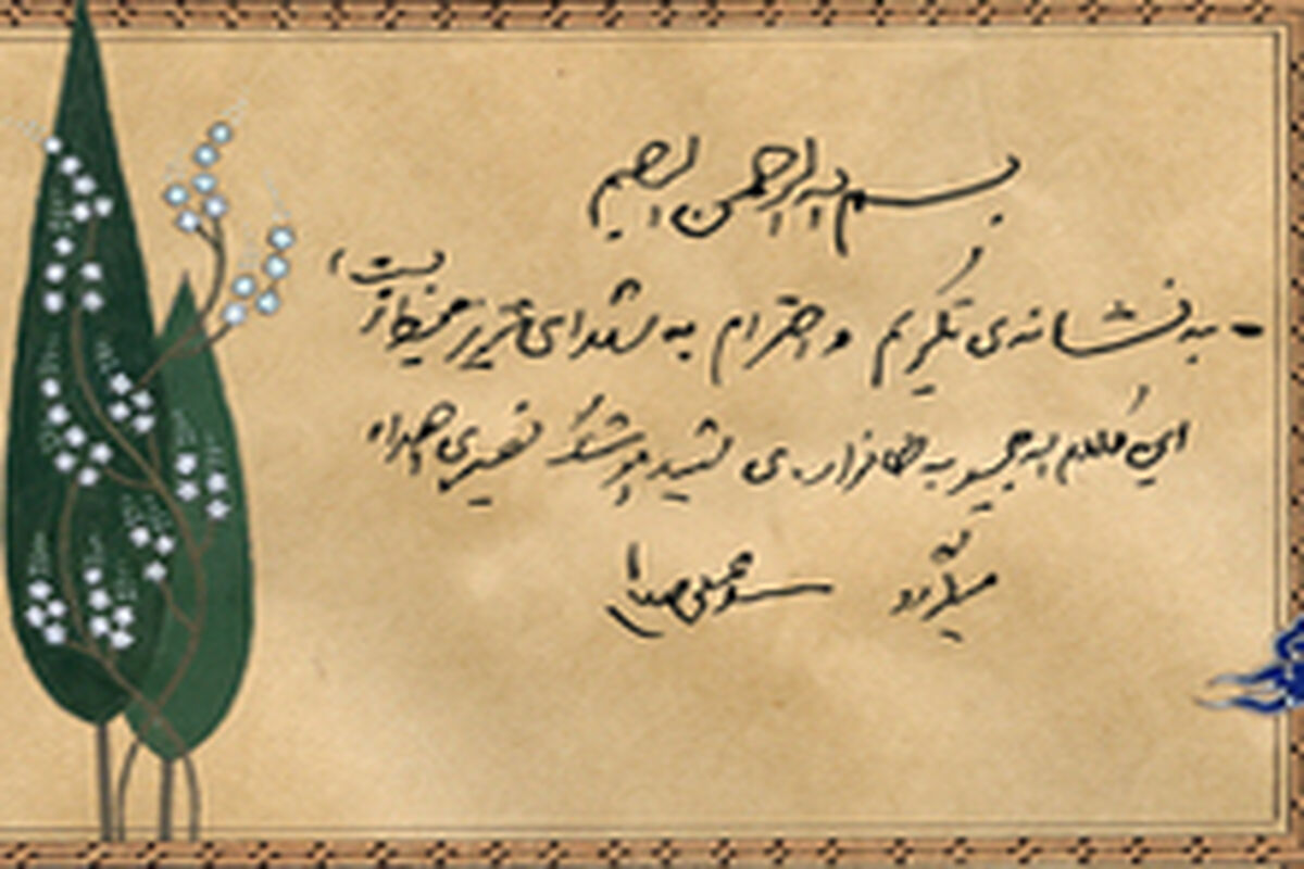 محیط زیست