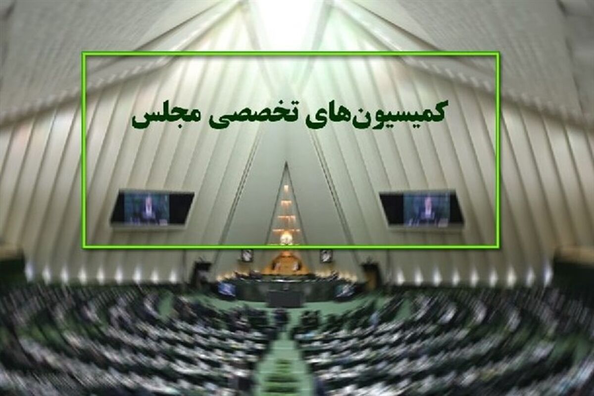 کمیسیون های تخصصی