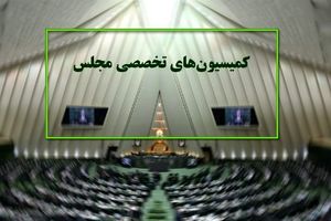 دستور کار کمیسیون ‌های تخصصی مجلس در هفته آینده اعلام شد