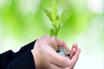 عملکرد خیریه ها با تعدادشان همخوانی ندارد