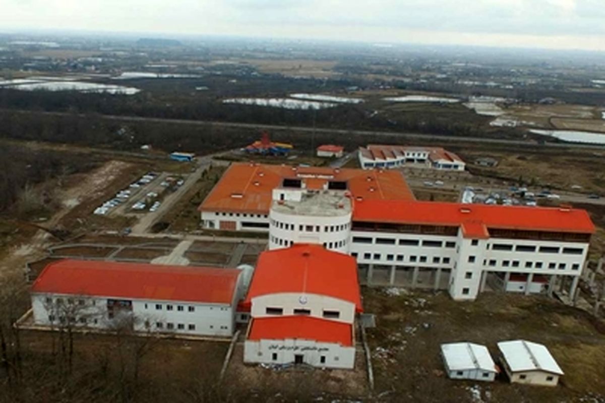 علوم پزشکی گیلان