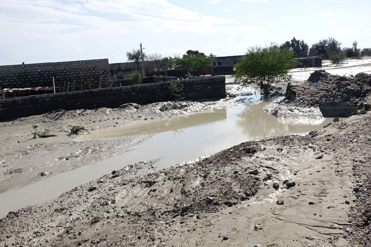 سیل هرمزگان