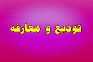 مدیرکل جدید دفتر امور روستایی و شوراهای استانداری معرفی شد