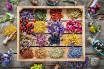 "داشبورد گیاهان دارویی فارس" الگویی  برای کشور 
