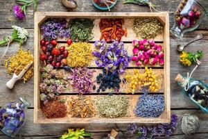 لزوم تبدیل چهارمحال‌وبختیاری به قطب گیاهان دارویی کشور