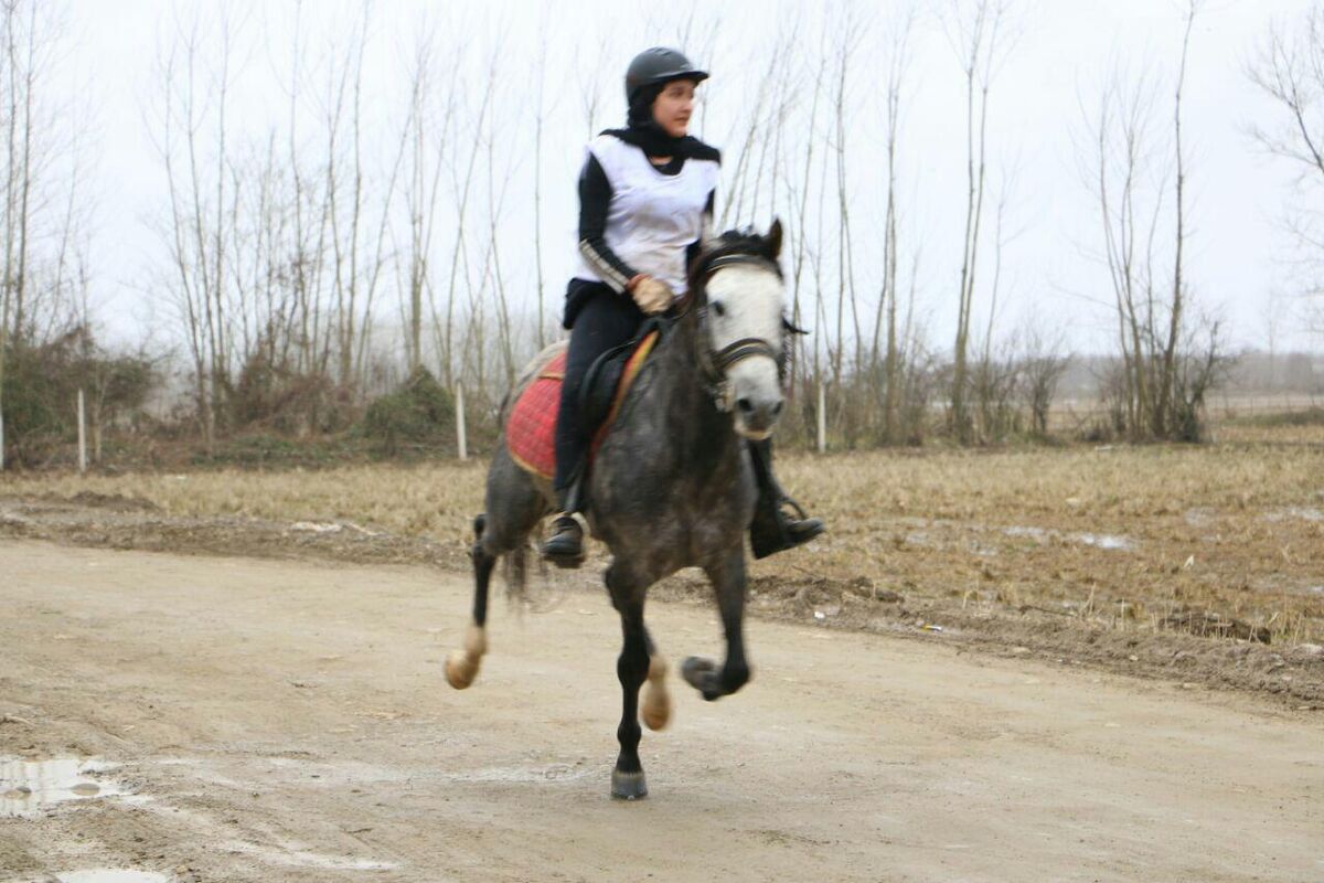 سوار کاری