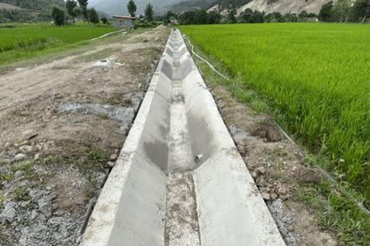 جهاد کشاورزی مازندران
