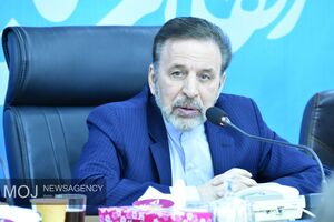 پیام تبریک محمود واعظی به وزیر جدید دارایی و خزانه داریی ترکیه