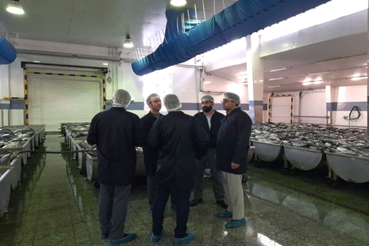 بهداشت عمومی
