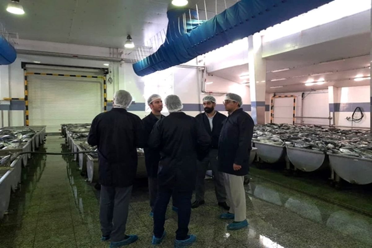 بهداشت عمومی