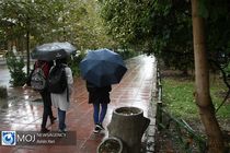 هرمزگان بارانی است/پرهیز از تردد در حاشیه رودخانه های فصلی