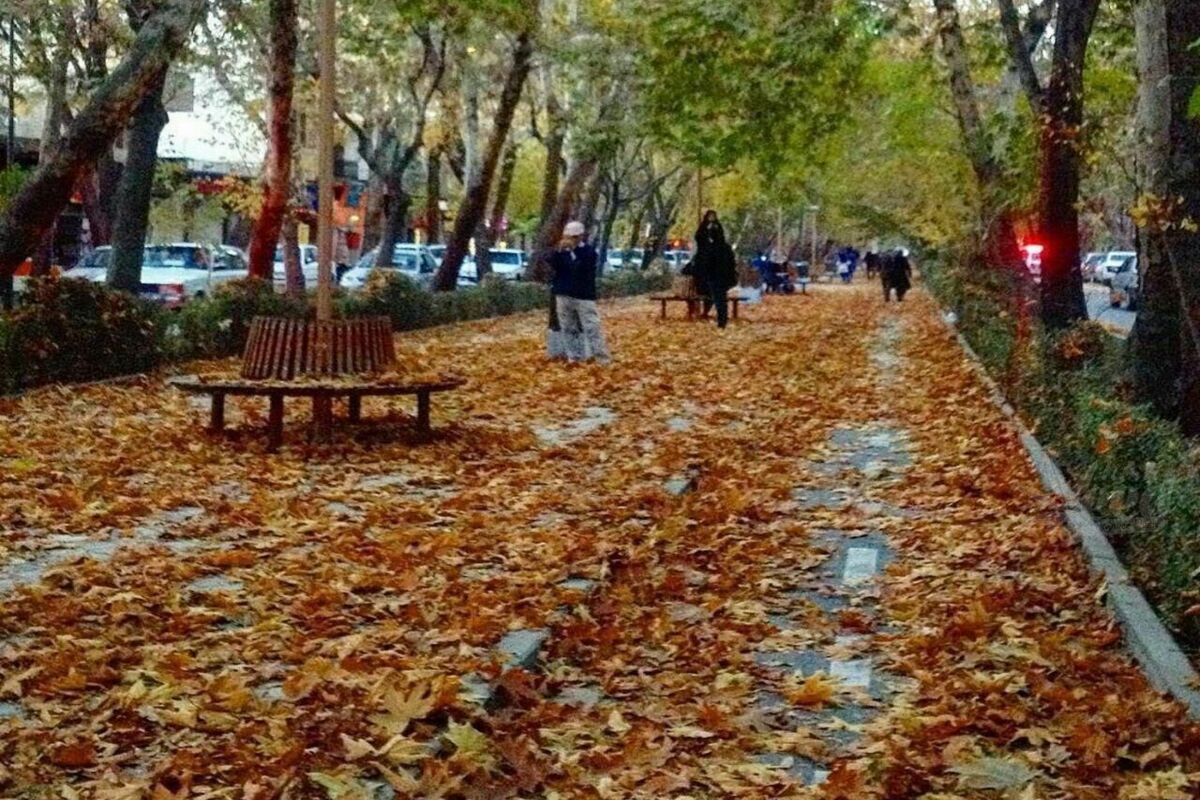 برگ های پاییزی
