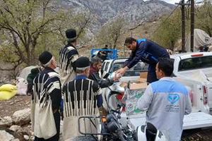 ارائه خدمات فوری دامپزشکی به دامداران سیل‌زده اندیکا؛ پوشش بهداشتی و درمانی ۵۸۰۰ رأس دام سبک انجام شد