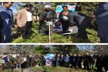 آیین نهال‌کاری به یاد شهدای مدافع امنیت در اداره‌کل منابع طبیعی مازندران برگزار شد