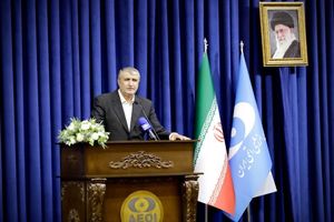 تمامی ظرفیت‌ها، فرایندها و اهداف برنامه هسته‌ای ایران شفاف است