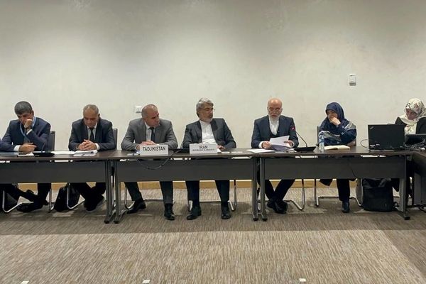 سیاسی‌کاری، شورای حقوق بشر سازمان ملل را بی‌اعتبار می‌کند