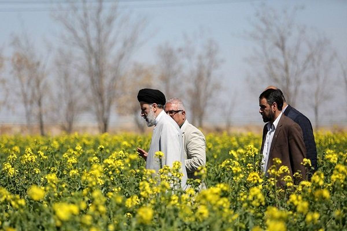 رییسی