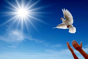 ۱۱۷ زندانی در خوزستان آزاد شدند