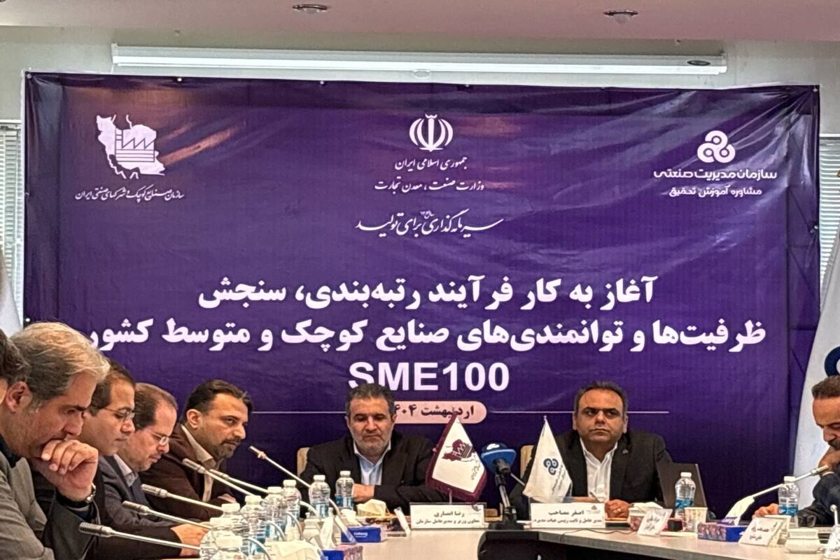 رضا انصاری