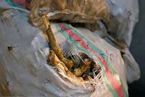 کشف ۶۰ دست کله‌پاچه فاسد دریکی از کله‌پزی‌های کرمانشاه