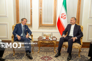 وزیر خارجه ایران با مدیرکل آژانس بین‌المللی انرژی اتمی رایزنی کرد