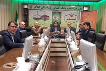 جلسه رفع مشکلات تسهیلات بانکی تنظیم بازار برگزار شد